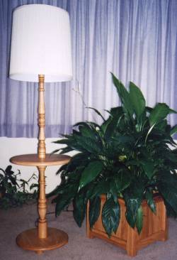 floor lamp and plant stand with plant